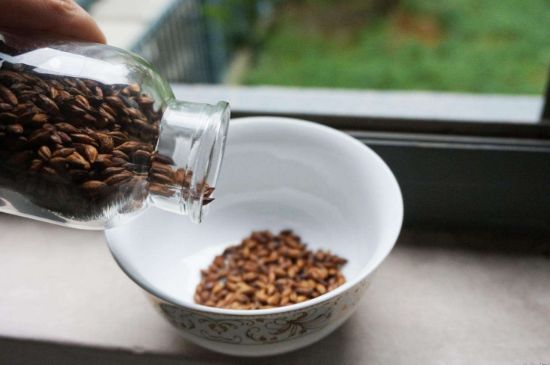 大麥茶上火嗎，喝大麥茶會不會上火？