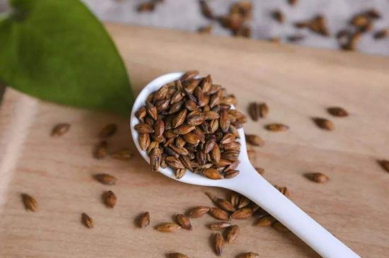 大麥茶上火嗎，喝大麥茶會不會上火？