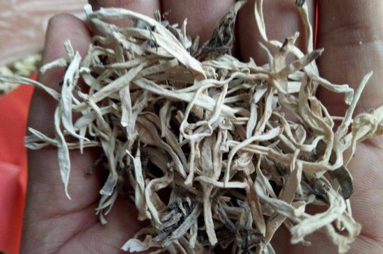 麗江雪茶的禁忌，白雪茶的副作用