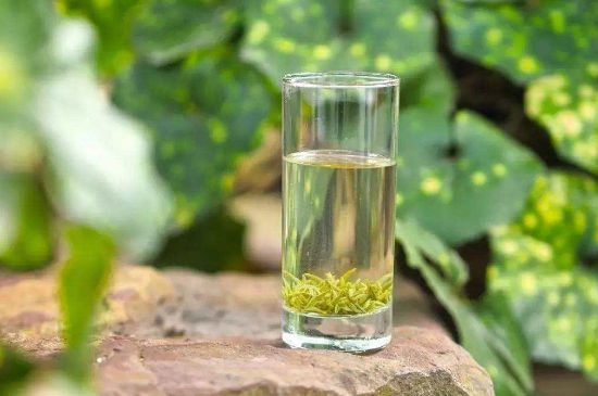 碧螺春沖泡三要素，碧螺春怎么泡才正確？