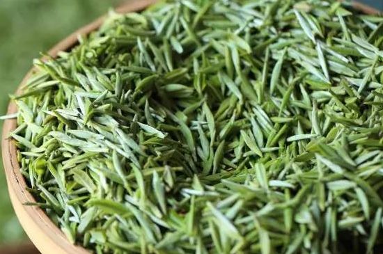 雀舌茶的沖泡方法，怎么沖泡雀舌茶？