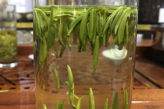 雀舌茶的副作用，雀舌茶什么人不能喝？