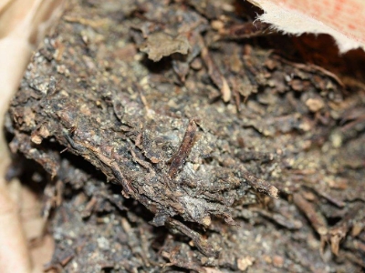 長期飲用黑茶的副作用，黑茶的功效與作用