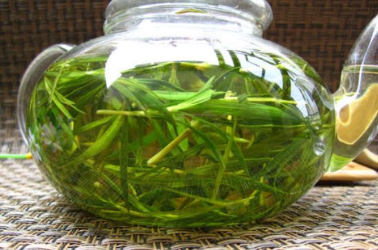 竹葉茶的禁忌，竹葉泡茶的功效禁忌