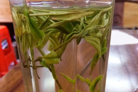 云霧綠茶的功效及禁忌，哪些人不適合喝云霧茶