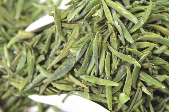 雀舌茶什么人不能喝，雀舌茶的功效與禁忌