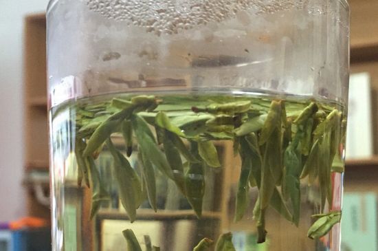 煮茶器能煮龍井嗎，龍井茶能不能用煮茶器圖