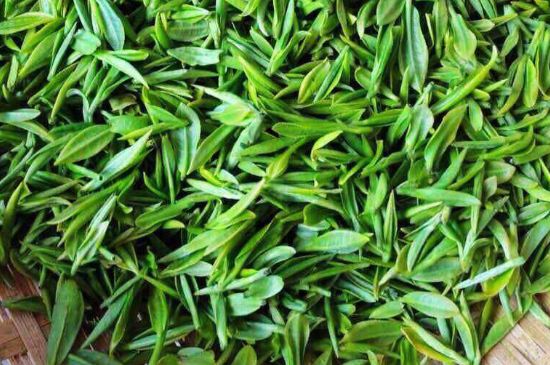 云霧綠茶的功效及禁忌，哪些人不適合喝云霧茶