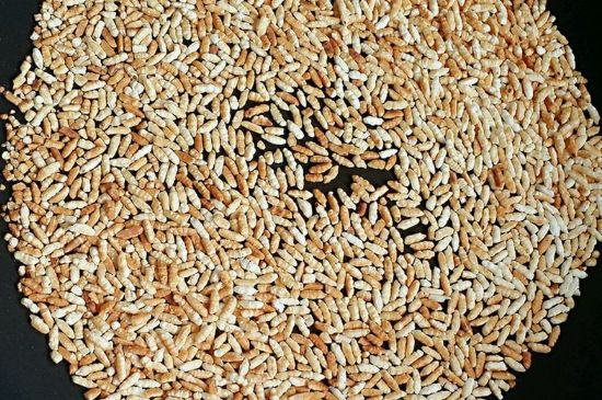 玄米茶是紅茶嗎，玄米茶怎么喝