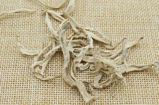 麗江雪茶的功效與作用，白雪茶有什么功效和作用