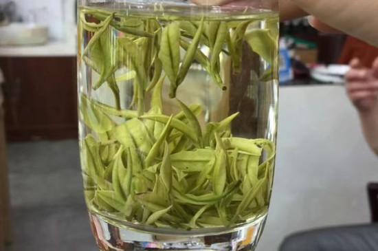 茶葉過期5年了但沒開封，茶葉放久了能喝嗎