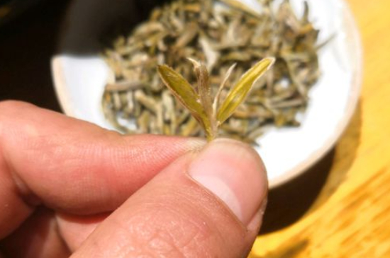 六大茶類(lèi)哪種適合長(zhǎng)期存放，日常如何保存方法一覽？