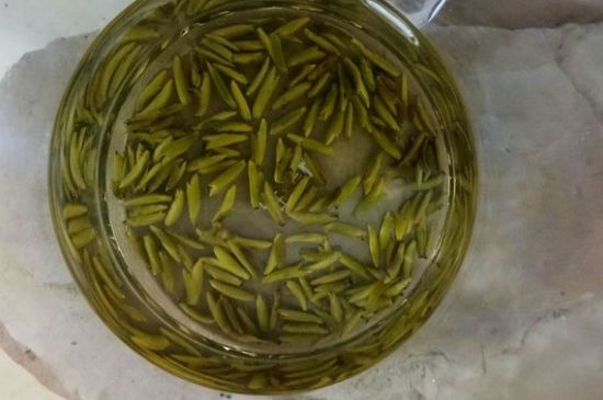 茶葉在哪里買比較好，哪里能買到好的茶葉