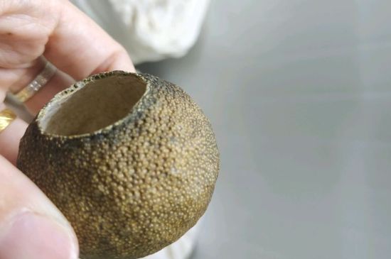 小青柑多少錢一盒，新會小青柑普茶價格一斤多少