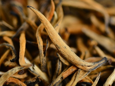 怎么知道什么茶葉適合自己，怎么判斷自己適合喝什么茶？