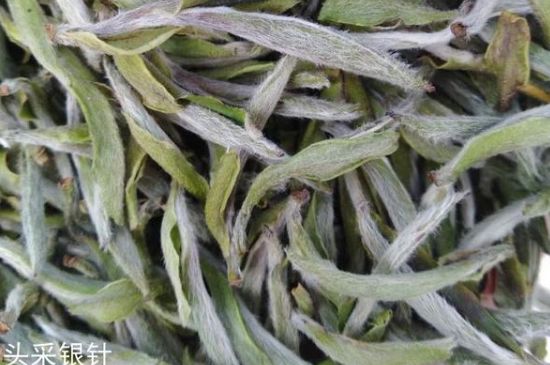 春茶季怎么辨別白毫銀針的好壞，好的白毫銀針如何選購？