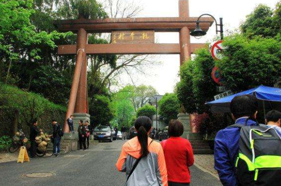 杭州買龍井茶攻略，怎么買到正宗的西湖龍井？