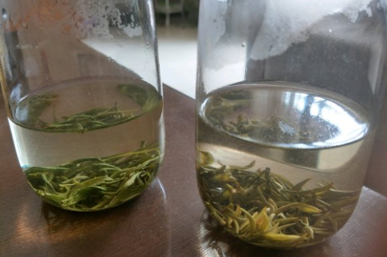 真假碧螺春泡水后區(qū)別，蘇州洞庭碧螺春怎樣鑒別好壞？