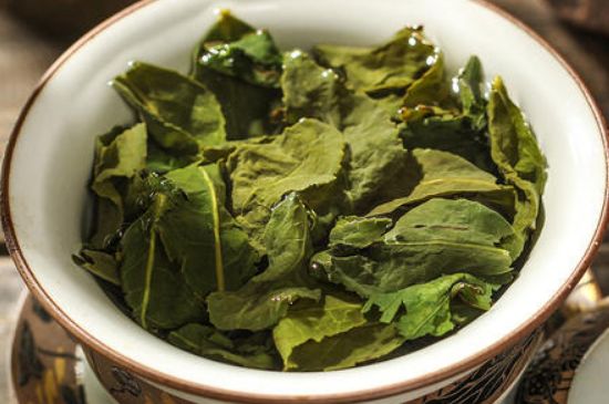 陳茶還是新茶好，茶葉是新茶好喝還是陳茶好喝