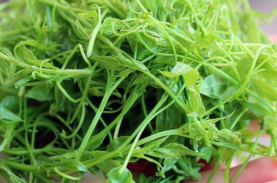 茅巖莓茶保質(zhì)期有多久，張家界莓茶存放時間長了還能喝嗎？