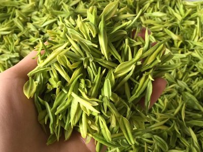 白茶品質(zhì)如何區(qū)分，白茶的優(yōu)劣質(zhì)量辨別方法