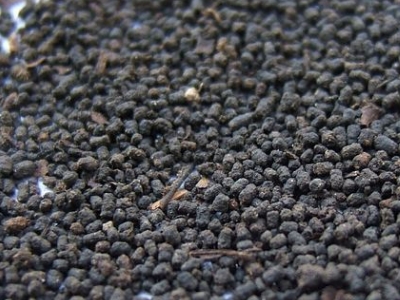 圓形顆粒狀茶是什么茶，像飼料一樣一粒粒的是什么茶？