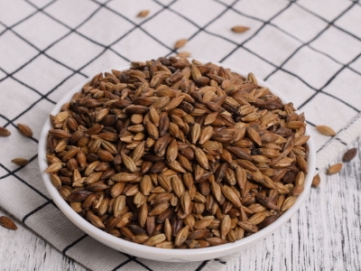 圓形顆粒狀茶是什么茶，像飼料一樣一粒粒的是什么茶？