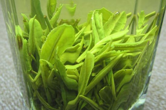 哪種茶葉可以放冰箱，哪些茶不能放冰箱？