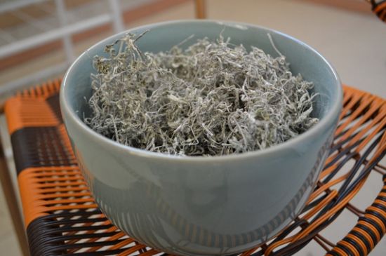 怎樣辨別莓茶發(fā)霉了，莓茶發(fā)霉和白霜的區(qū)別