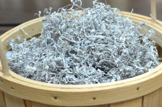 張家界莓茶真假對比，野生莓茶的鑒別方法