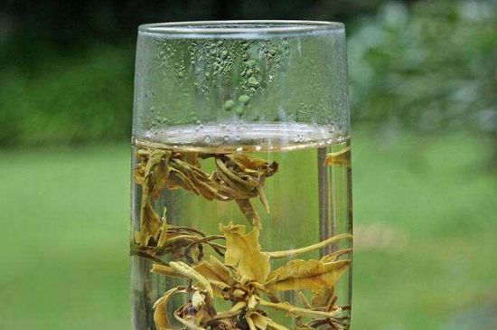 茉莉龍珠什么人不能喝，茉莉龍珠茶什么體質(zhì)不能喝？