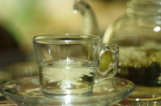 菊花茶天天喝行嗎，每天喝菊花泡茶喝好嗎？