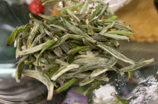 蒸汽煮茶器適合什么茶，蒸汽煮茶器適合用綠茶嗎？