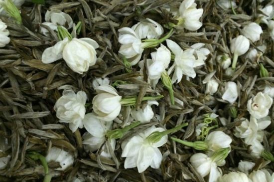茉莉銀針口感，茉莉銀針是什么味道？