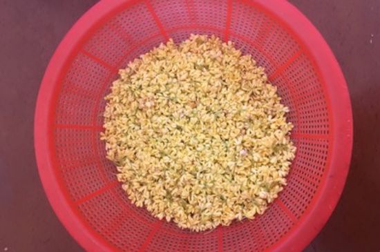 干桂花茶的制作方法，怎樣自制桂花茶？