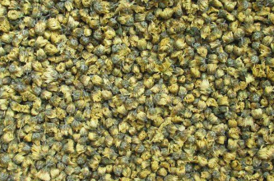 菊花茶大朵小朵有什么區(qū)別，菊花喝大朵還是小朵？