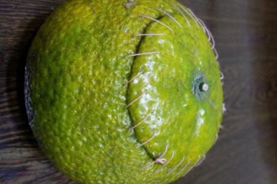 家庭自制柑普茶方法，小青柑制作9個步驟竅門（圖片）