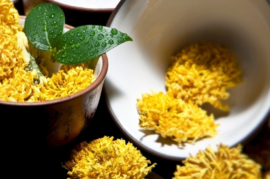 孕婦可以喝菊花茶嗎，菊花對(duì)胎兒有致畸作用？