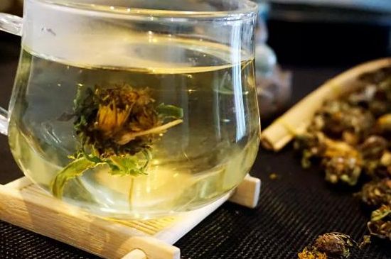 蒲公英最佳搭配，蒲公英茶和什么搭配泡水最佳