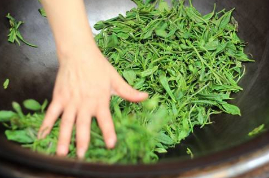 炒青綠茶與綠茶的區(qū)別，烘青和炒青哪個(gè)好喝？