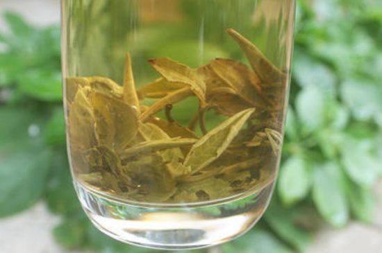 茉莉龍珠泡開后為什么都是梗，茉莉龍珠泡開后什么樣？