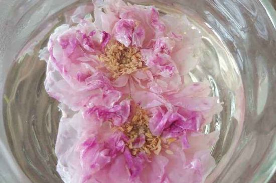 玫瑰花茶上火嗎，盲目喝玫瑰花茶易上火