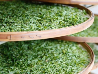 云南八大茶系分別是哪些，都是什么名字