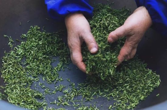 自家炒茶葉怎么炒，自己炒茶葉的步驟
