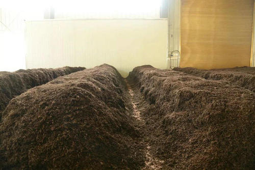 制茶八步驟，制茶工藝流程圖