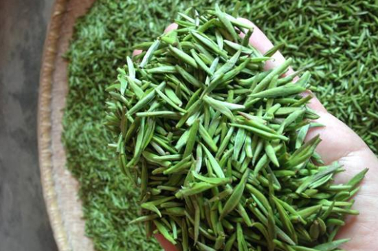 采茶的方法與步驟，如何正確采摘茶葉？