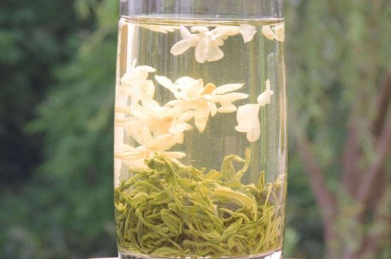 茉莉龍珠可以和什么一起泡茶，茉莉龍珠茶能加蜂蜜嗎？