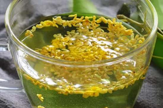 茉莉茶一次泡幾朵，茉莉茶放多少