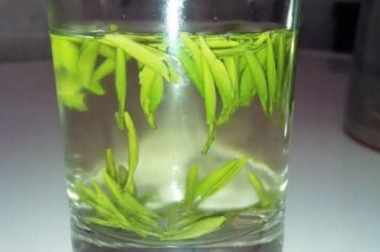 翠眉是什么茶，適合什么時候喝