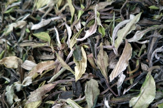 福鼎白茶貢眉和壽眉的區(qū)別，壽眉與貢眉有什么區(qū)別